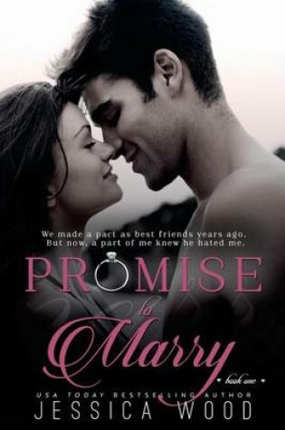 Cover of Promise to Marry