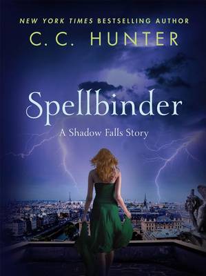 Book cover for Spellbinder