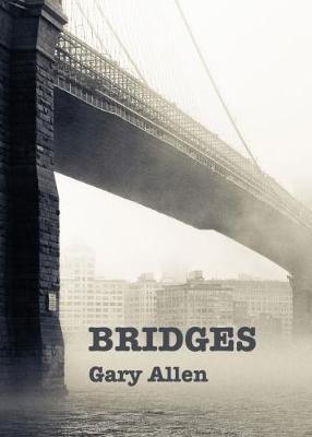 Book cover for Bridges