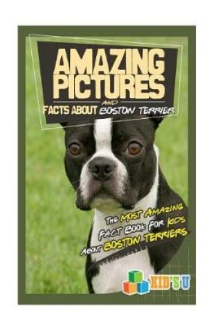 Cover of Amazing Pictures and Facts about Boston Terriers