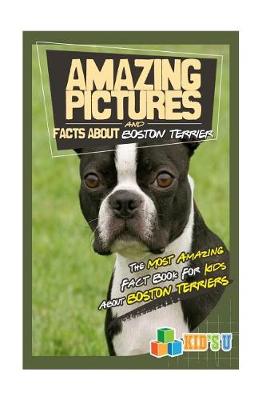 Book cover for Amazing Pictures and Facts about Boston Terriers