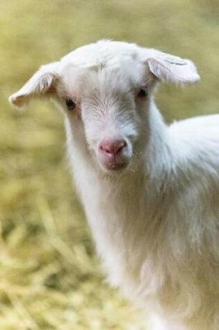 Cover of Gabi Goat Gazes Graciously for her Portrait Journal