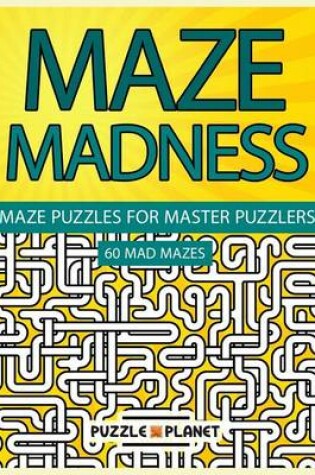 Cover of Maze Madness - Maze Puzzles for Master Puzzlers