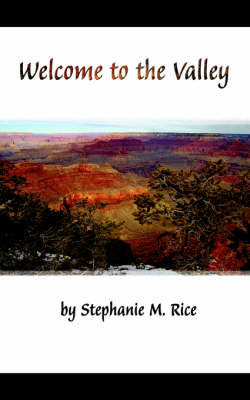 Book cover for Welcome to the Valley