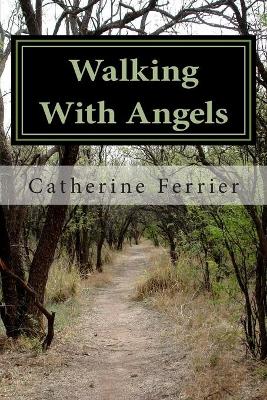 Book cover for Walking With Angels