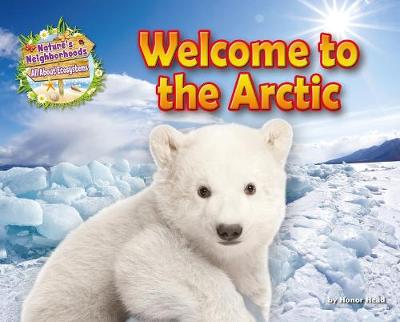 Book cover for Welcome to the Arctic