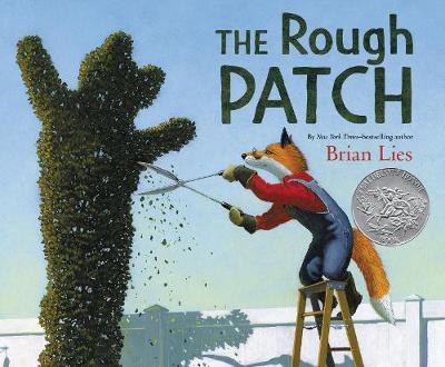 Book cover for The Rough Patch