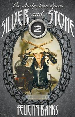 Book cover for Silver and Stone