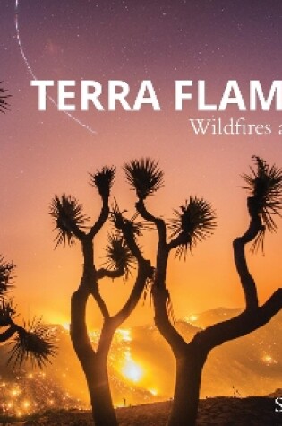 Cover of Terra Flamma