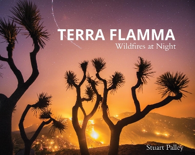 Book cover for Terra Flamma