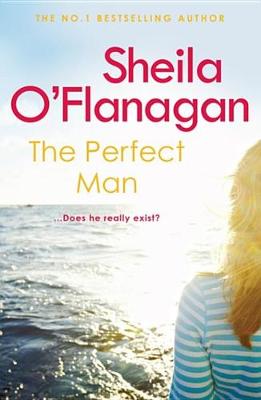 Book cover for The Perfect Man