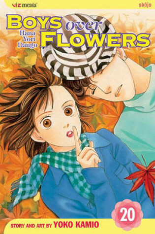 Cover of Boys Over Flowers, Volume 20