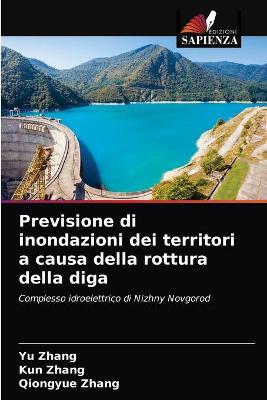 Book cover for Previsione di inondazioni dei territori a causa della rottura della diga