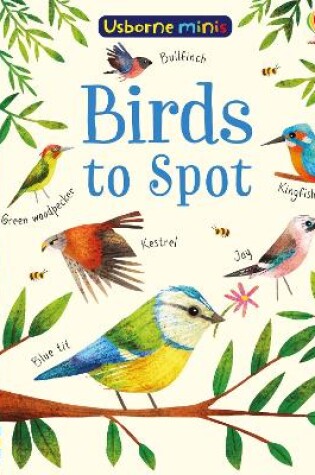 Cover of Birds to Spot