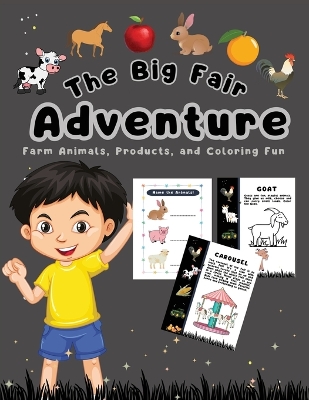 Book cover for The Big Fair Adventure