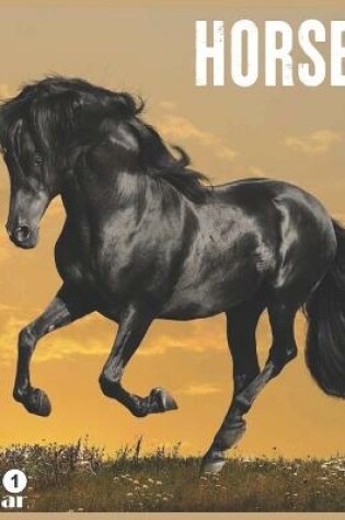 Cover of Horses 2021 Calendar