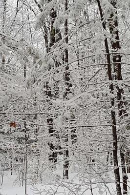 Cover of Journal Winter Picture Pretty Branches