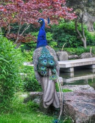 Book cover for Majestic Peacock in the Garden Notebook