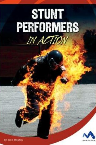 Cover of Stunt Performers in Action