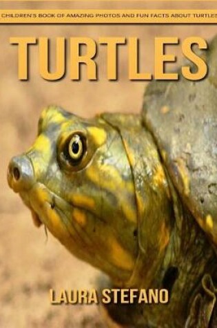 Cover of Turtles