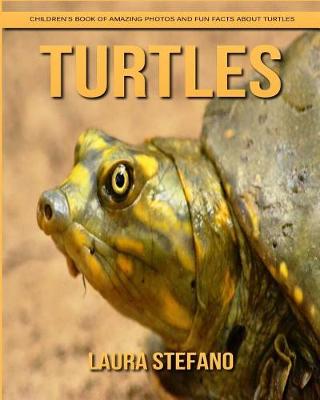 Book cover for Turtles