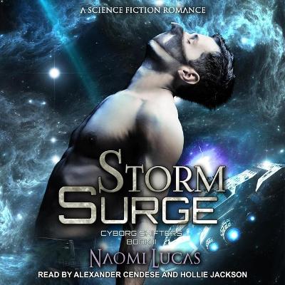 Cover of Storm Surge