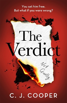 Book cover for The Verdict