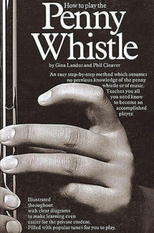 Cover of How To Play The Penny Whistle