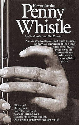 Book cover for How To Play The Penny Whistle