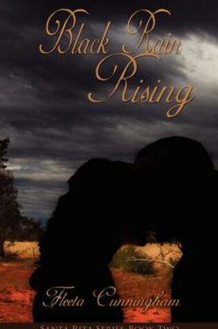 Cover of Black Rain Rising