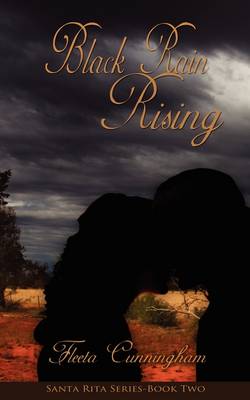 Book cover for Black Rain Rising