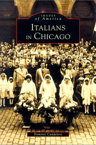 Cover of Italians in Chicago