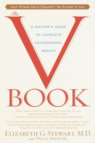 Book cover for The V Book