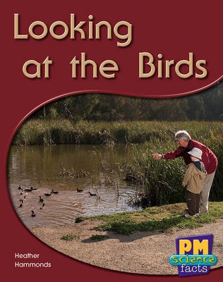 Book cover for Looking at the Birds