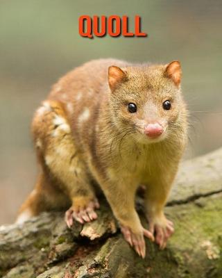 Book cover for Quoll