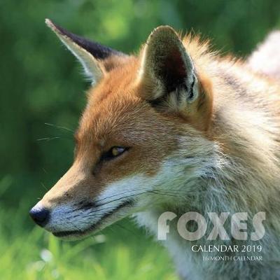 Book cover for Foxes Calendar 2019