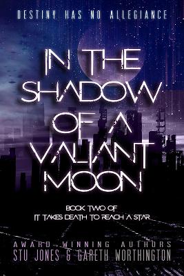 Book cover for In the Shadow of a Valiant Moon