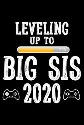 Book cover for Leveling Up To Big Sis 2020