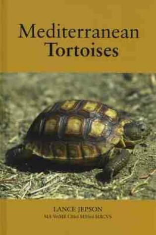 Cover of Mediterranean Tortoises