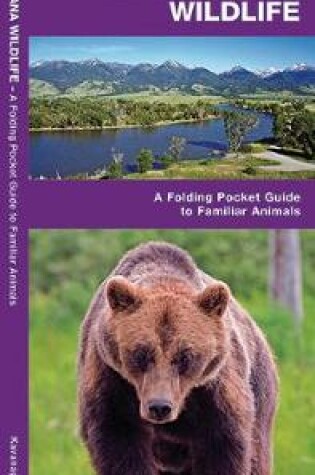Cover of Montana Wildlife