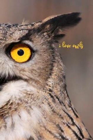 Cover of I Love Owls