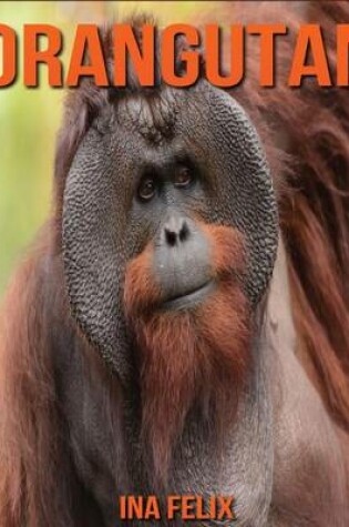 Cover of Orangutan