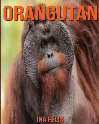Book cover for Orangutan