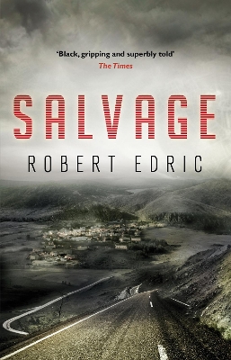 Cover of Salvage