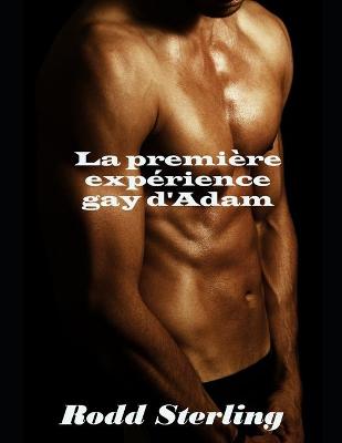 Cover of La première expérience gay d'Adam