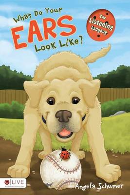 Book cover for What Do Your Ears Look Like? the Listening Ladybug