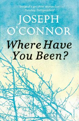 Book cover for Where Have You Been?