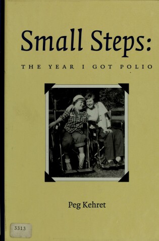 Cover of Small Steps