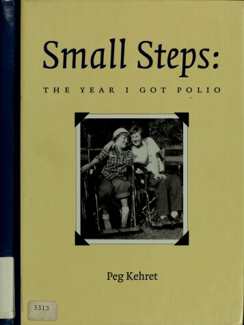 Book cover for Small Steps