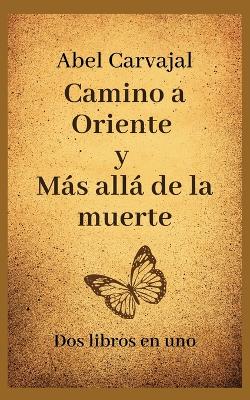 Book cover for Camino a Oriente y Más allá de la muerte